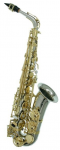Expression Alt Saxophon Modell A-3008 L