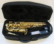 Selmer Alto Saxophon Super Action 80 Serie II Goldlack