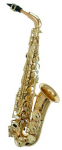 Expression Alt Saxophon Modell A-326 GBL